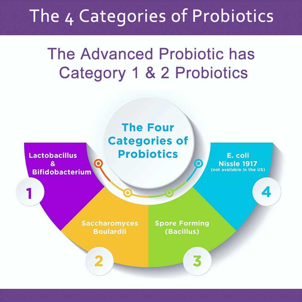 How to Pick a High Quality Probiotic Dr. Daniel Functional Medicine