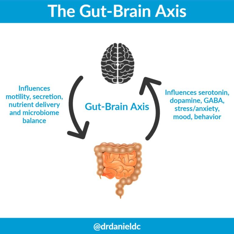 Why Your Digestive System is Where Health Begins - Dr. Daniel ...